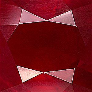 product close up Product closeup