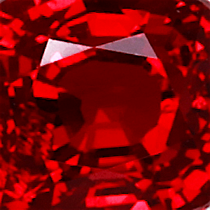 product close up Product closeup