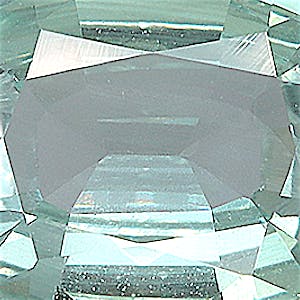 product close up Product closeup