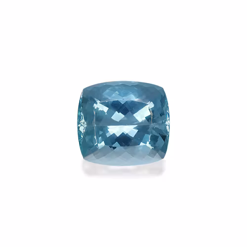 Arctic Blue Aquamarine 121.23ct - 31x29mm (AQ0337)