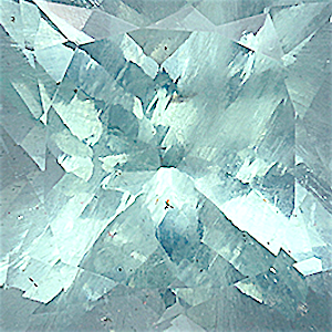 product close up Product closeup