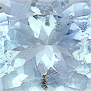 product close up Product closeup