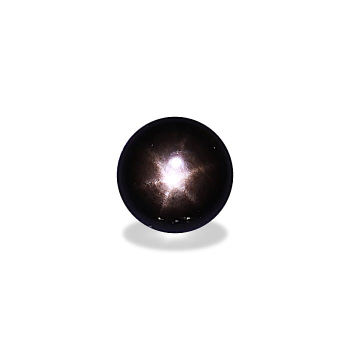 Black Star Sapphire 294.66ct - Main Image