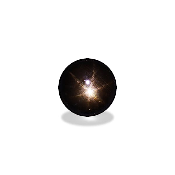 Black Star Sapphire 232.00ct - Main Image