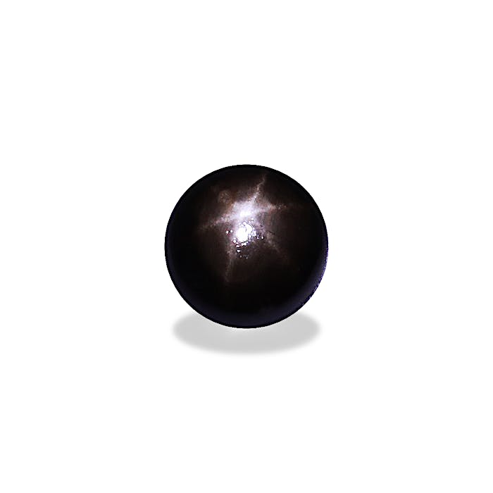 Black Star Sapphire 332.99ct - Main Image