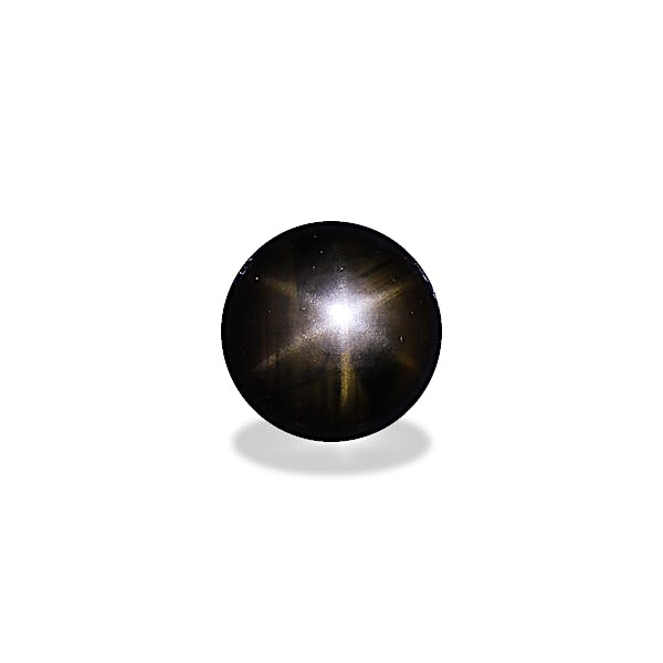 Black Star Sapphire 188.63ct - Main Image