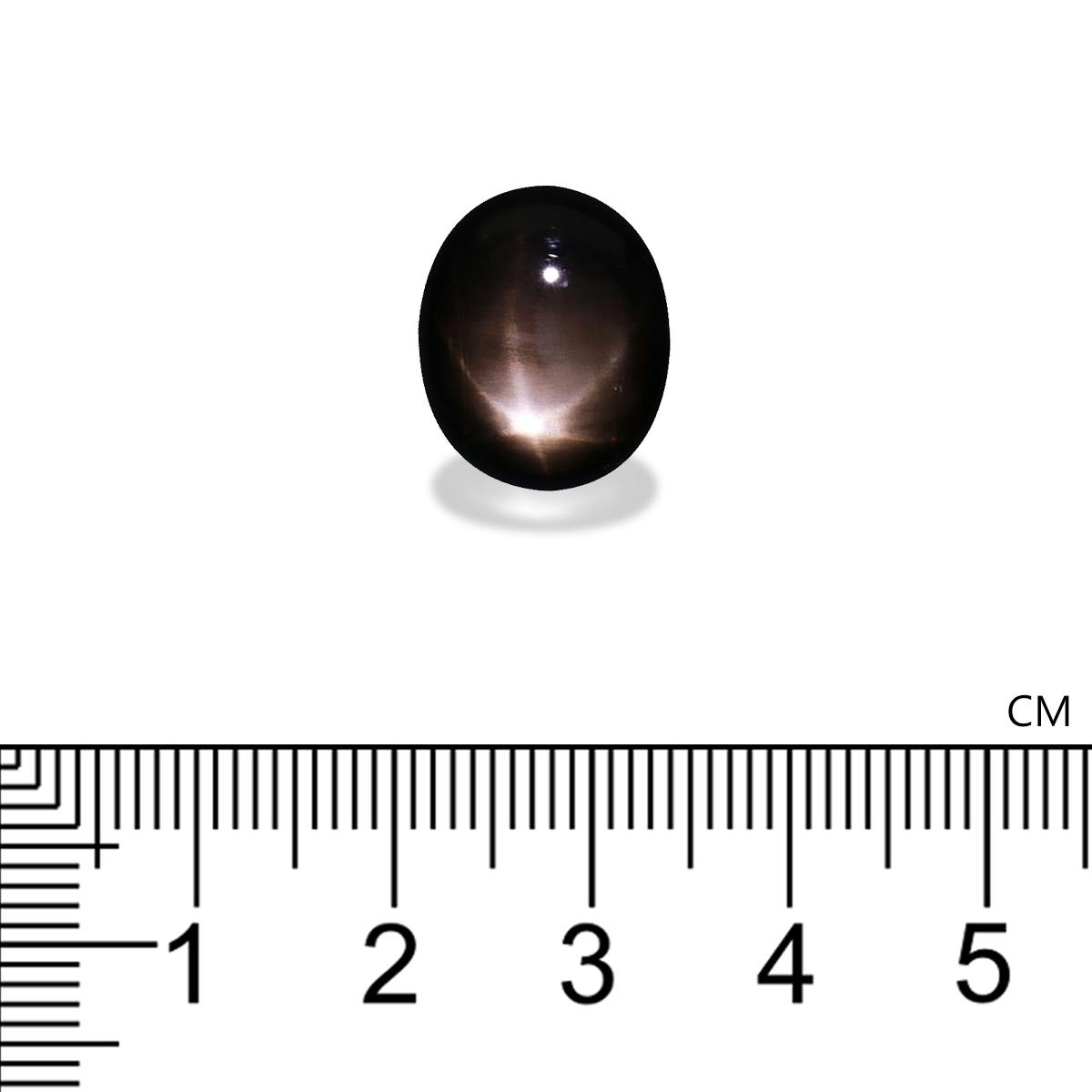 9cts Chanthaburi Black Star 2024 Sapphire Authentic Bang Kha Cha Teardrop Cabochon