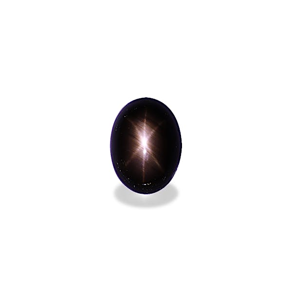Black Star Sapphire 21.95ct - Main Image