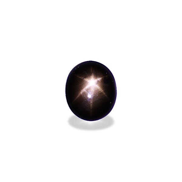 Black Star Sapphire 25.63ct - Main Image