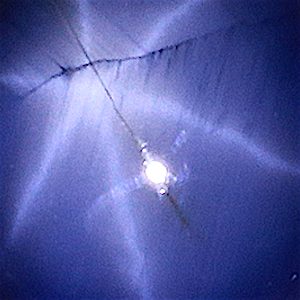 product close up Product closeup