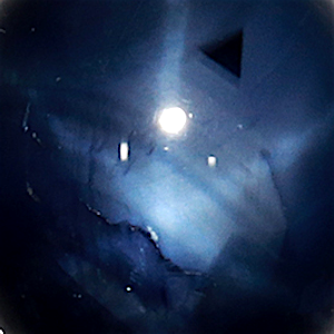 product close up Product closeup