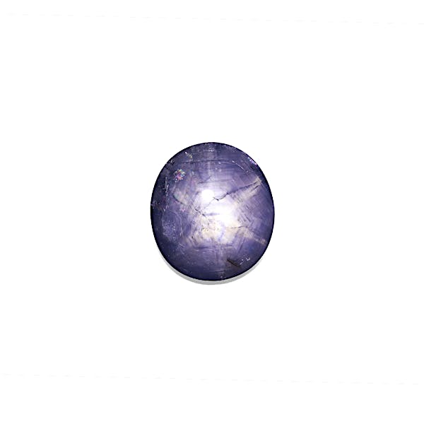 Blue Star Sapphire 12.60ct - Main Image
