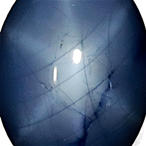 product close up Product closeup