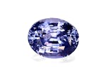 Blue Sapphire Unheated Sri Lanka 7.07ct (BS0273)