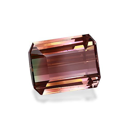 Product image-1 Product image-1