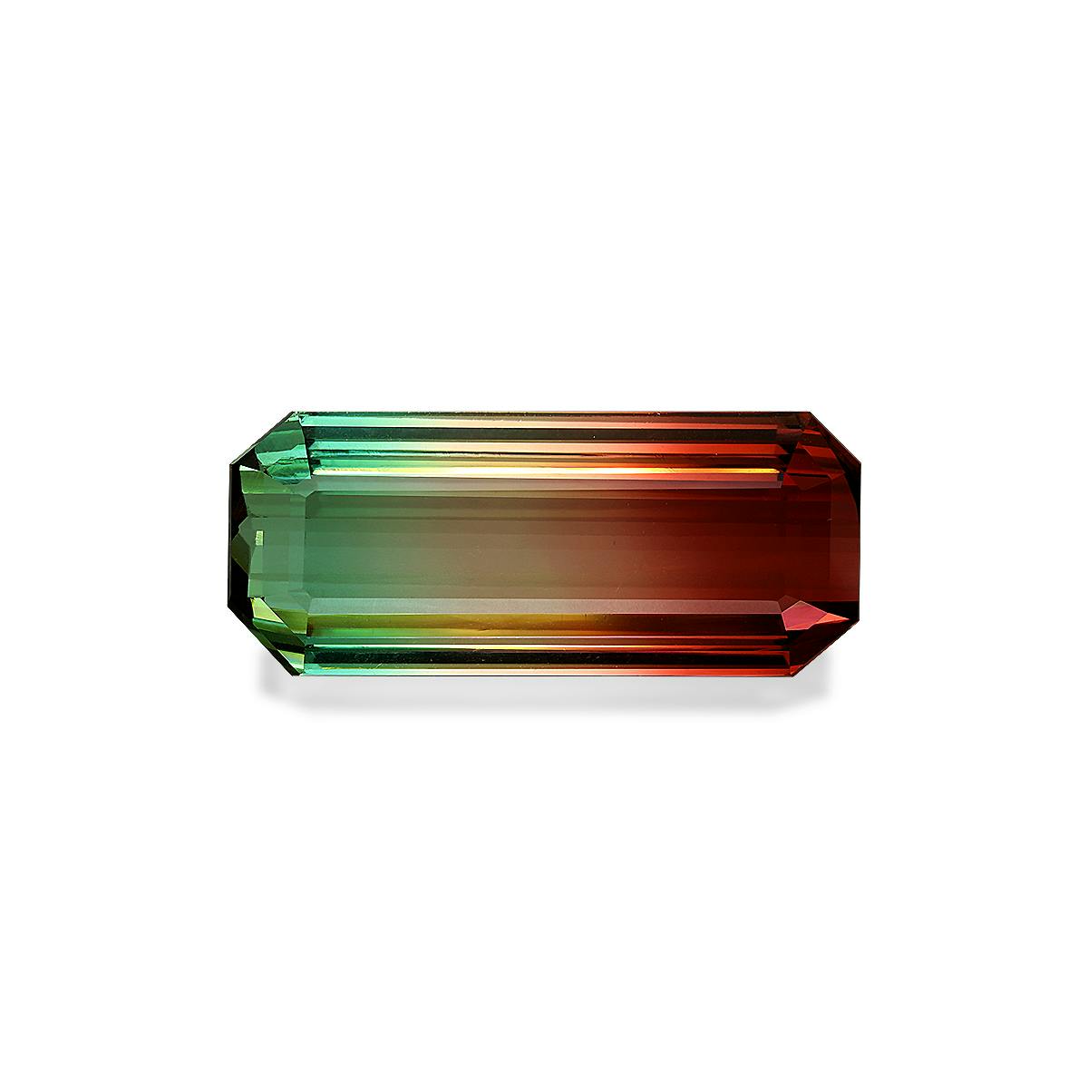 Store NATURAL BICOLOR TOURMALINE