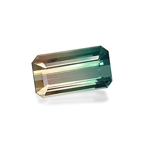 Product image-1 Product image-1