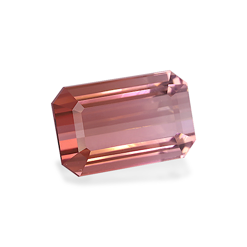 Product image-1 Product image-1