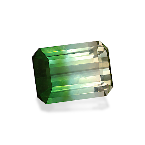 Product image-1 Product image-1