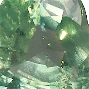 product close up Product closeup