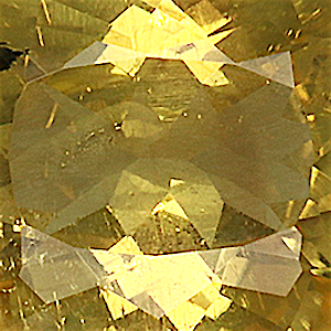 product close up Product closeup