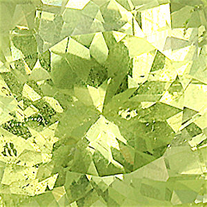 product close up Product closeup