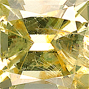 product close up Product closeup