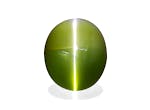 Picture of Cats Eye 15.23ct - 13x11mm (CE0051)