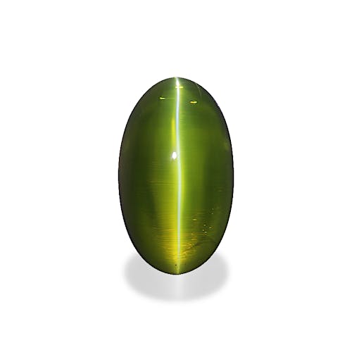 Product image-1 Product image-1