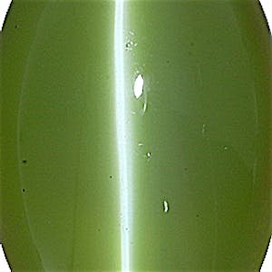 product close up Product closeup