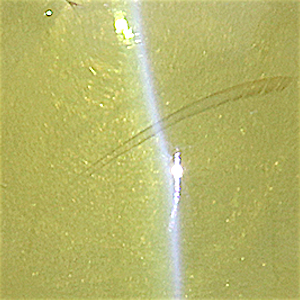 product close up Product closeup