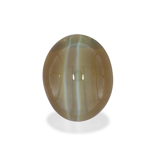 Product image-1 Product image-1