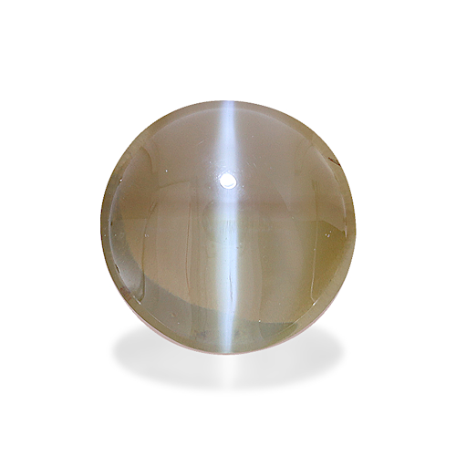 Product image-1 Product image-1