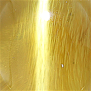 product close up Product closeup