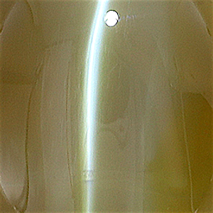 product close up Product closeup