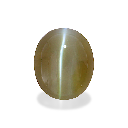 Product image-1 Product image-1