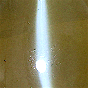 product close up Product closeup