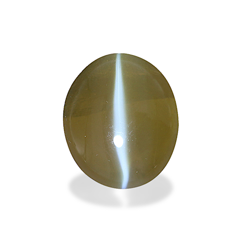 Product image-1 Product image-1