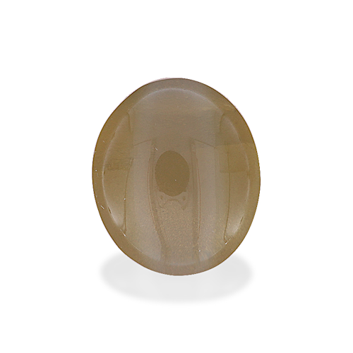 Product image-1 Product image-1