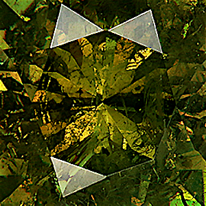 product close up Product closeup