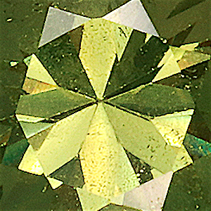 product close up Product closeup