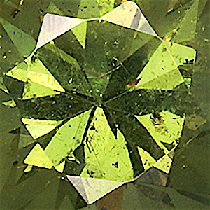 product close up Product closeup