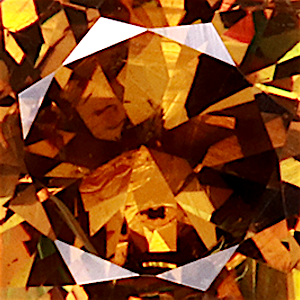 product close up Product closeup