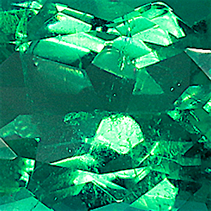 product close up Product closeup