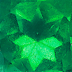 product close up Product closeup