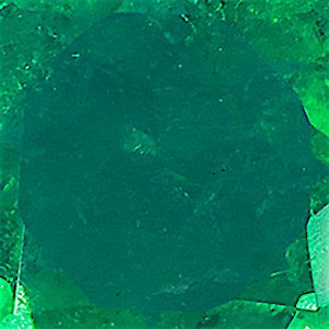 product close up Product closeup