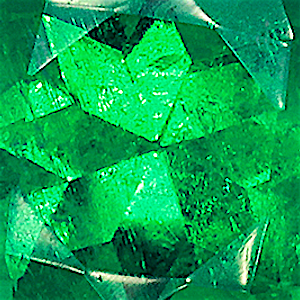 product close up Product closeup