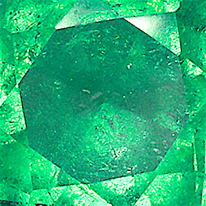 product close up Product closeup