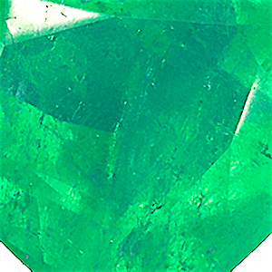 product close up Product closeup