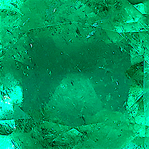 product close up Product closeup